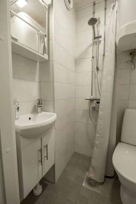 A Lovely Apartment Near Railway Station And Arena. Tampere Exterior photo